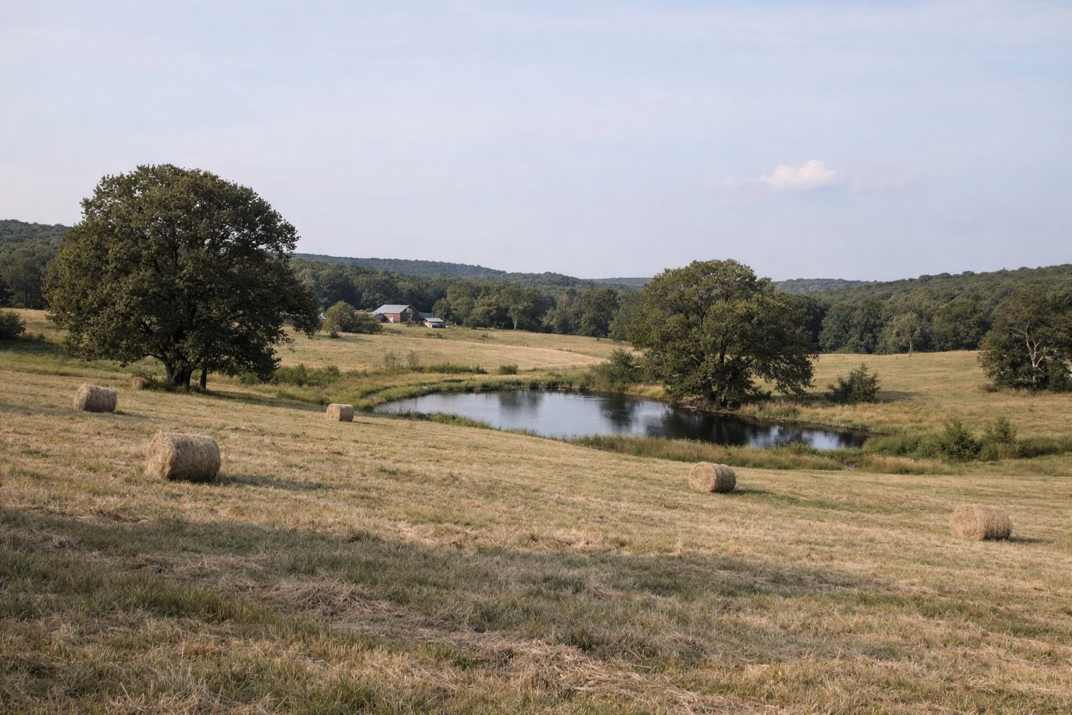 Rolling hayfield meadows with old shade trees and a small farm pond