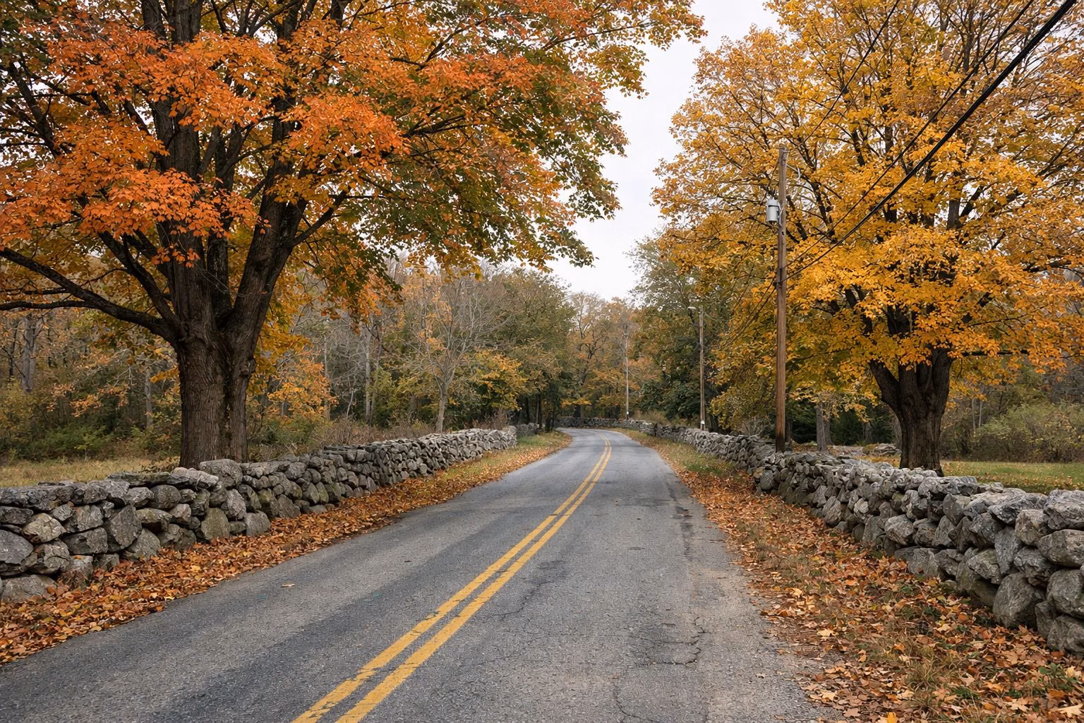Country road lined with old fieldstone walls and maples in fall color