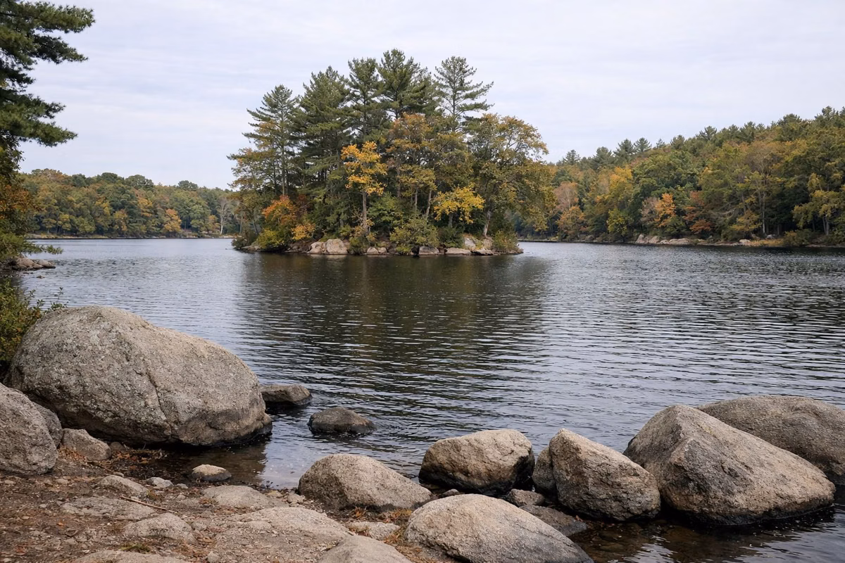 Wide pond with a small wooded island in early fall