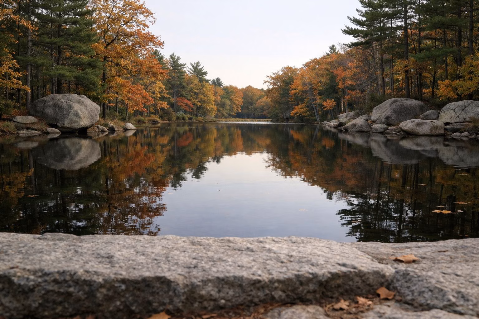 Fall foliage reflected in a calm pond
